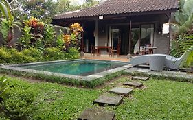 Dedik House